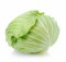 Health Benefits of Cabbage