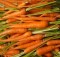 Health benefits of carrots