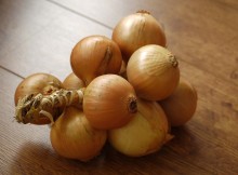 onion nutritional benefits